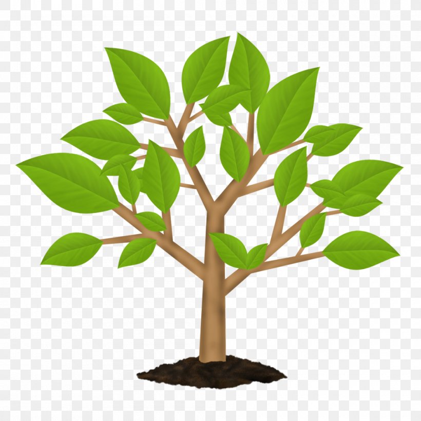 Vector Graphics Tree Symbol Illustration Wood, PNG, 1000x1000px, Tree, Branch, Flower, Flowering Plant, Flowerpot Download Free