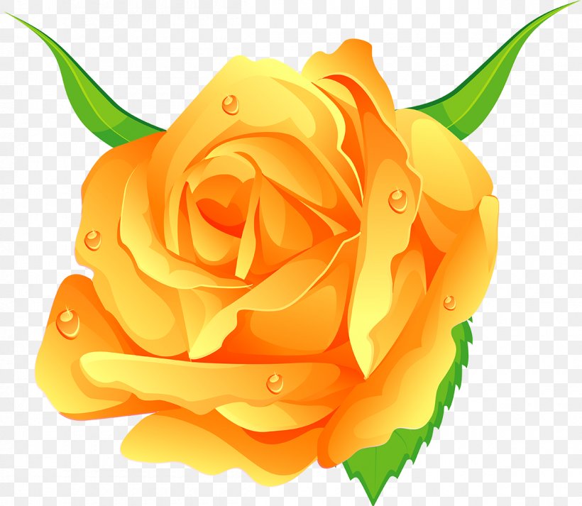 Garden Roses Cabbage Rose Floribunda Flower Beach Rose, PNG, 1200x1044px, Watercolor, Cartoon, Flower, Frame, Heart Download Free