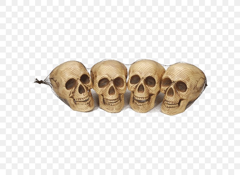 Skull, PNG, 600x600px, Skull, Bone, Jaw Download Free