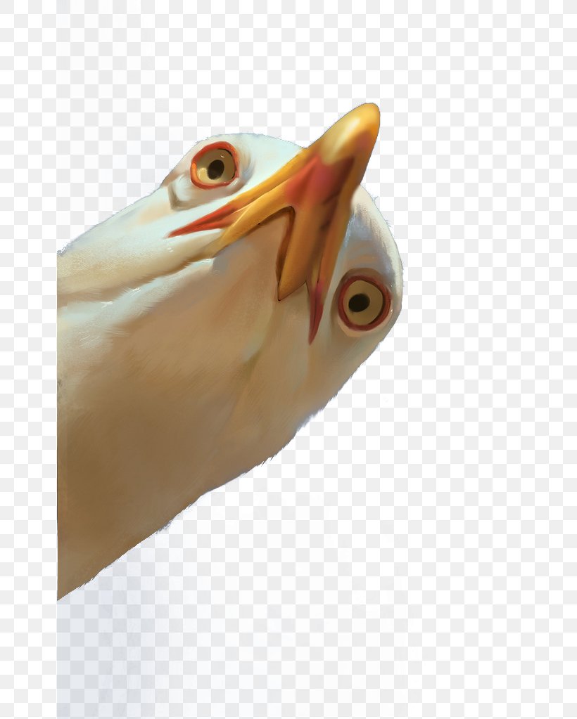 Bird Gulls, PNG, 658x1023px, Bird, Beak, Close Up, Designer, Finger Download Free