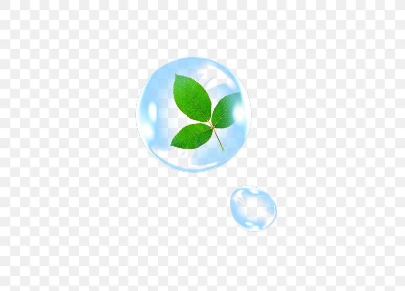 Leaf Drop Water Wallpaper, PNG, 591x591px, Leaf, Blue, Computer, Drop, Green Download Free