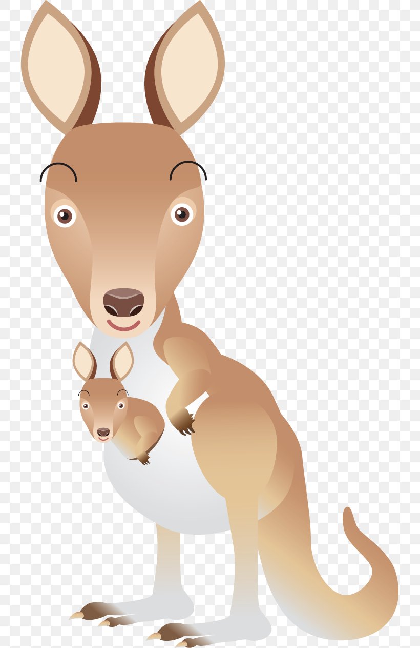Musky Rat-kangaroo Mammals Of Australia Clip Art, PNG, 737x1263px, Kangaroo, Carnivoran, Cartoon, Deer, Donkey Download Free