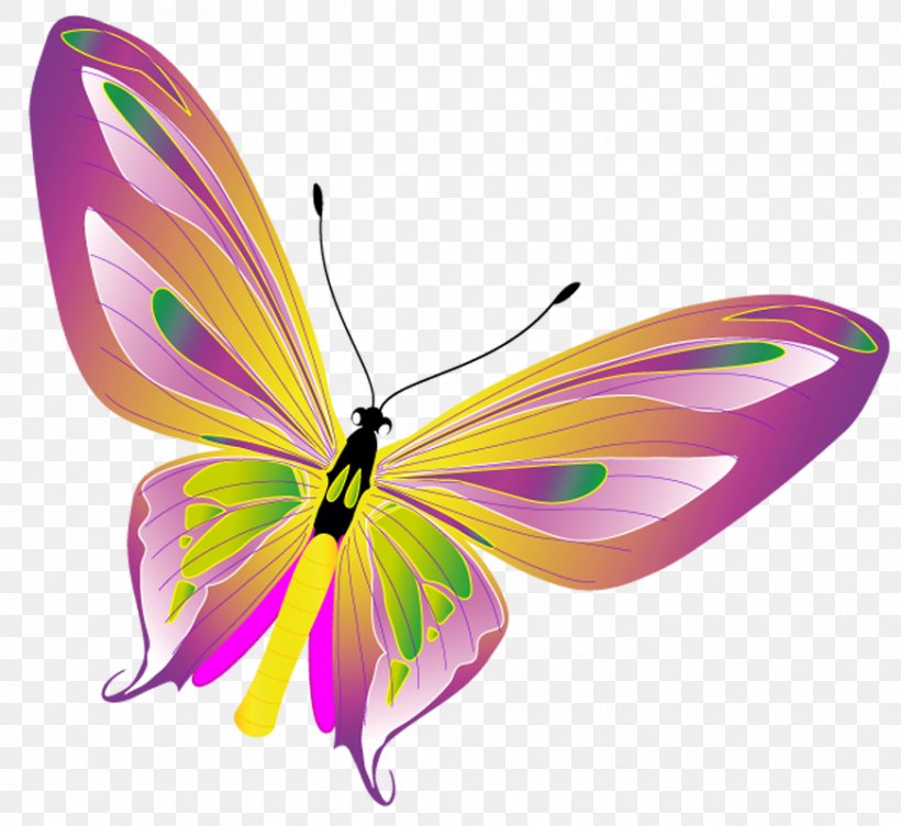 Severodvinsk Home For The Elderly And Disabled Clip Art, PNG, 872x800px, Royaltyfree, Arthropod, Brush Footed Butterfly, Butterfly, Information Download Free