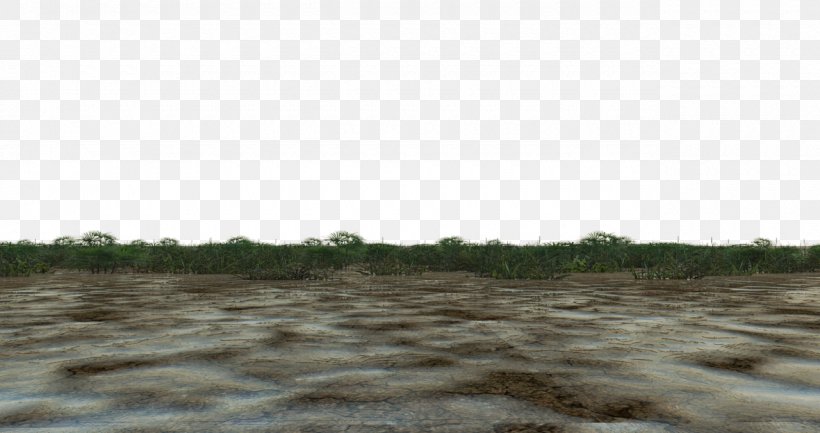 Swamp Soil Wetland, PNG, 1280x676px, 3d Computer Graphics, Swamp, Deviantart, Ecoregion, Ecosystem Download Free