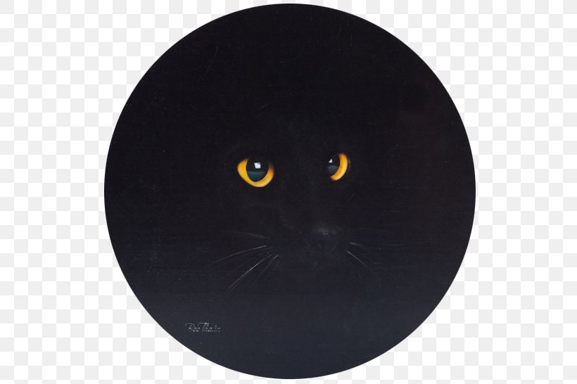 Whiskers Cat Snout Black M, PNG, 545x546px, Whiskers, Big Cats, Black, Black Cat, Black M Download Free