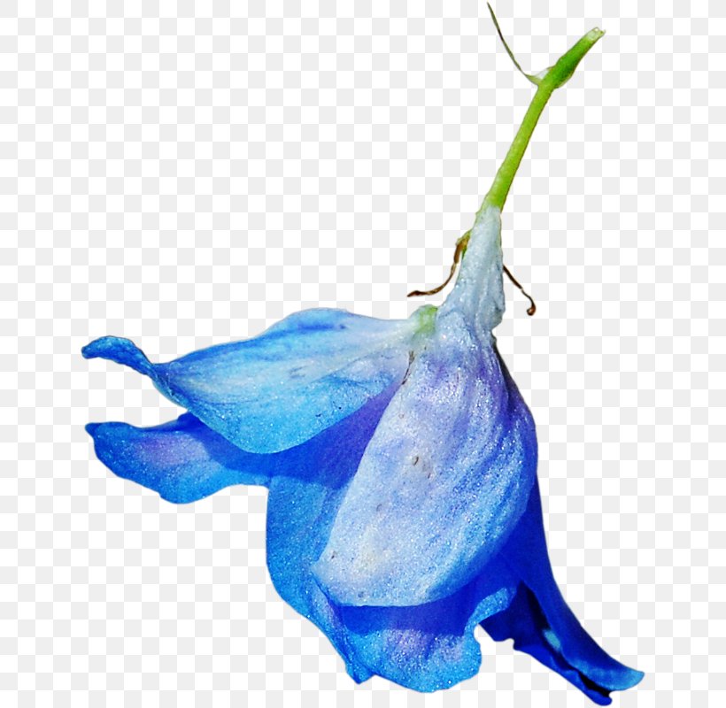 Blue Flower Color Clip Art, PNG, 640x800px, Blue, Animation, Cetacea, Cobalt Blue, Color Download Free