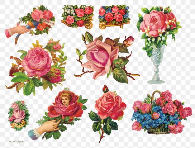 Garden Roses Floral Design Flower Clip Art, PNG, 2800x2139px, Garden Roses, Artificial Flower, Cut Flowers, Digital Image, Drawing Download Free
