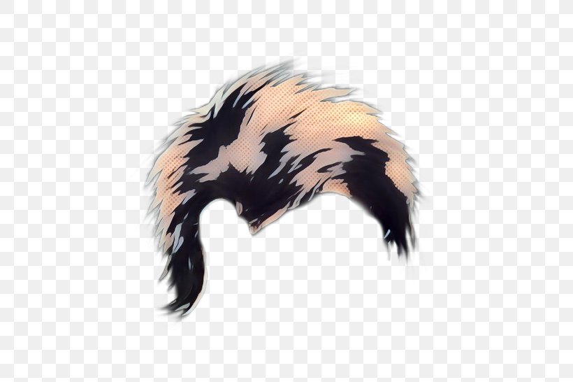 Fur Striped Skunk, PNG, 634x546px, Fur, Beak, Ear, Feather, Skunk Download Free