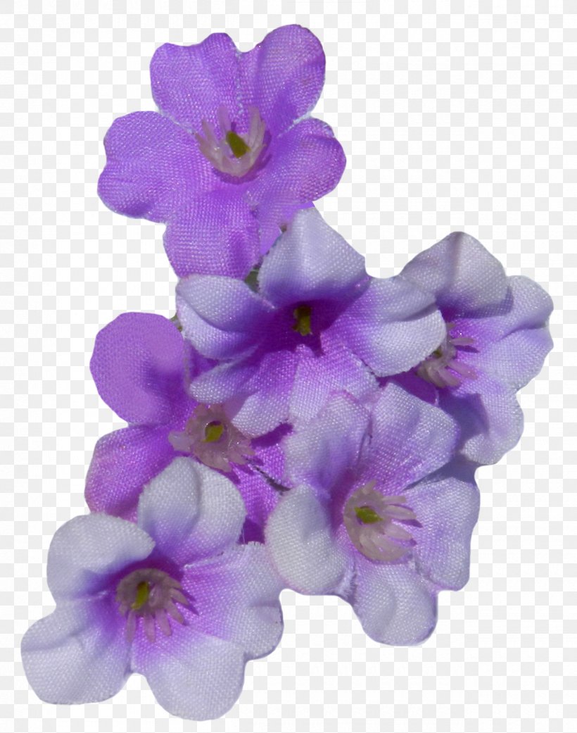 Moth Orchids, PNG, 1260x1600px, Moth Orchids, Flower, Flowering Plant, Lilac, Moth Orchid Download Free