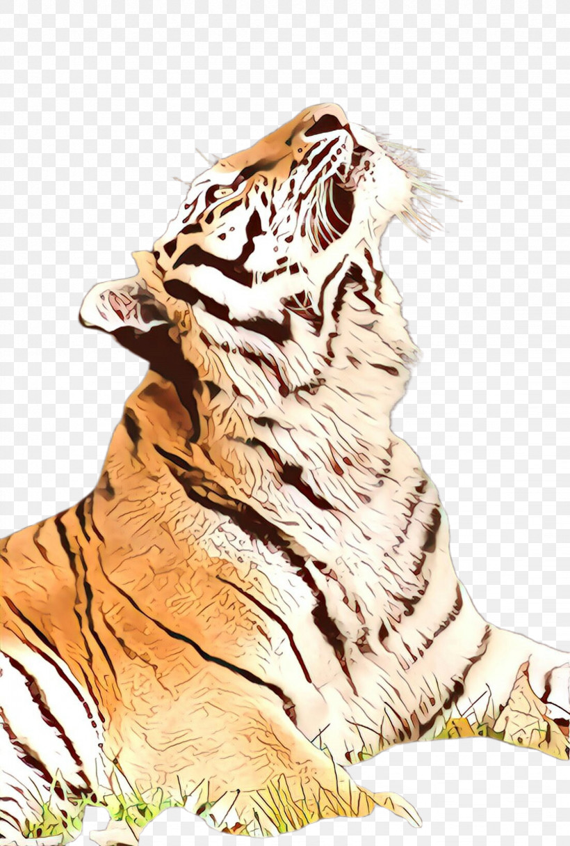 Tiger Bengal Tiger Siberian Tiger Roar Wildlife, PNG, 1644x2436px, Tiger, Bengal Tiger, Roar, Siberian Tiger, Wildlife Download Free