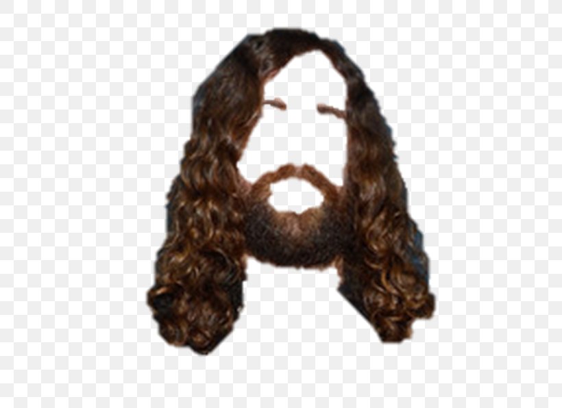 Wig Hairstyle, PNG, 505x596px, Wig, Beard, Computer Software, Facial Hair, Fur Download Free