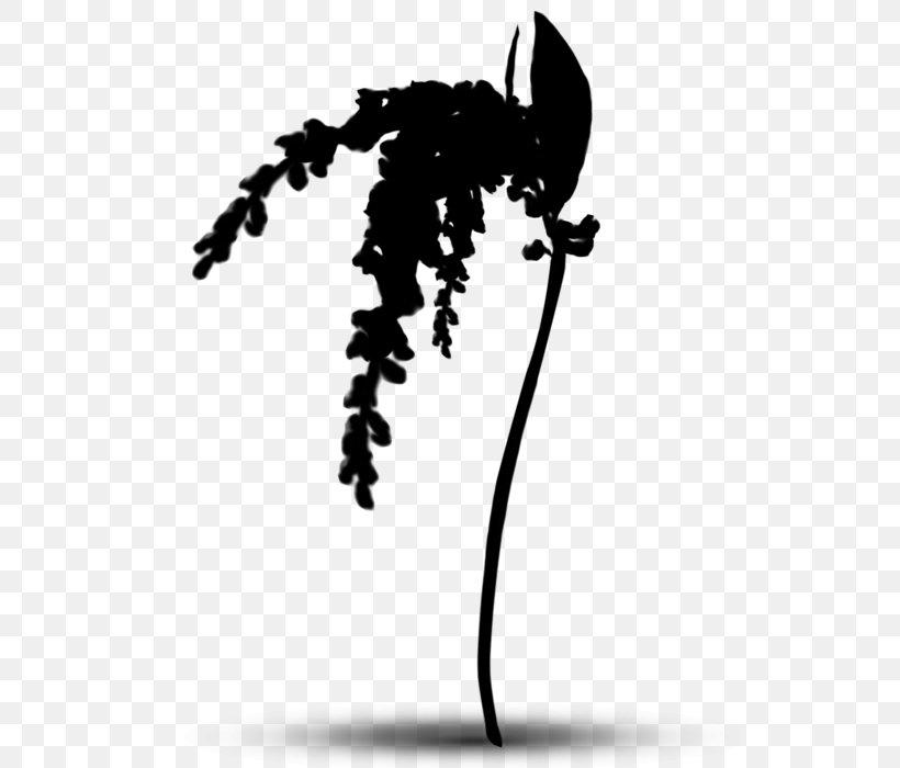 Black & White, PNG, 528x700px, Black White M, Blackandwhite, Plant, Silhouette, Tree Download Free