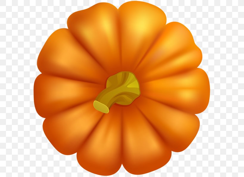 Clip Art Image Openclipart, PNG, 600x595px, 3d Computer Graphics, Winter Squash, Cucurbita, Flower, Fruit Download Free