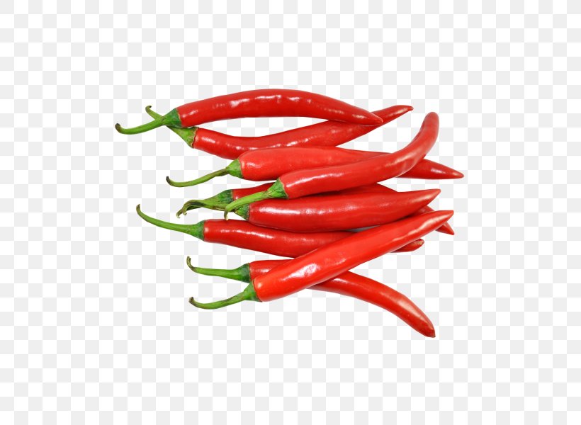 Indian Family, PNG, 600x600px, Chili Pepper, Bell Pepper, Bell Peppers And Chili Peppers, Birds Eye Chili, Capsicum Download Free