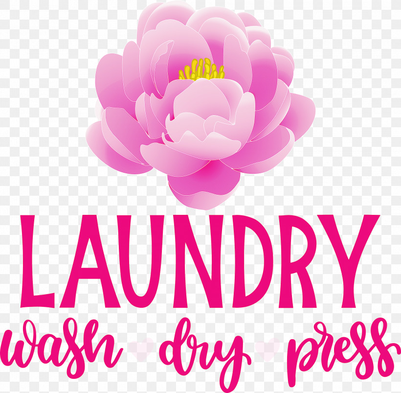 Laundry Wash Dry, PNG, 3000x2941px, Laundry, Biology, Cut Flowers, Dry, Floral Design Download Free