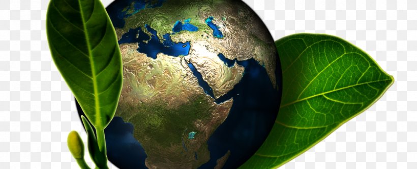 Natural Environment Sustainable Development Ecology Environmentally Friendly, PNG, 980x400px, Environment, Biophysical Environment, Earth, Ecological Economics, Ecology Download Free