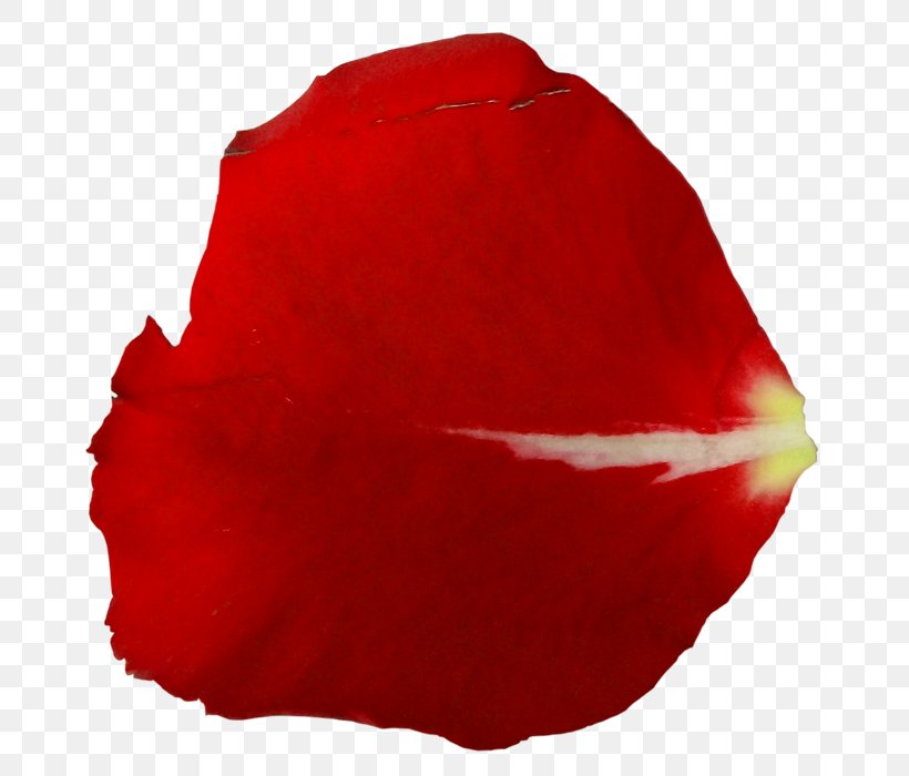 Petal Ink, PNG, 700x700px, Petal, Coquelicot, Flower, Flowering Plant, Gimp Download Free