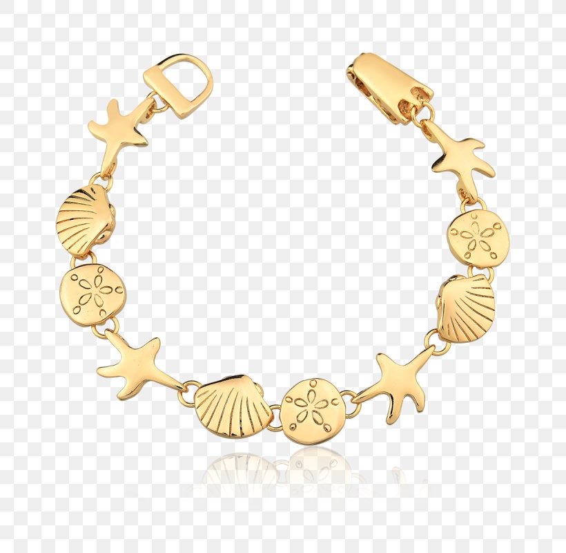 Bracelet Earring Necklace Seashell Gold, PNG, 800x800px, Bracelet, Beach, Body Jewelry, Chain, Earring Download Free