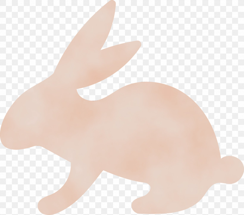 Hare Dog Snout Rabbit Tail, PNG, 3000x2646px, Watercolor, Biology, Dog, Hare, Paint Download Free