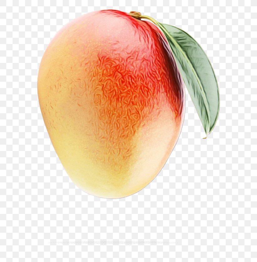 Peach Apple, PNG, 600x833px, Watercolor, Apple, Paint, Peach, Wet Ink Download Free