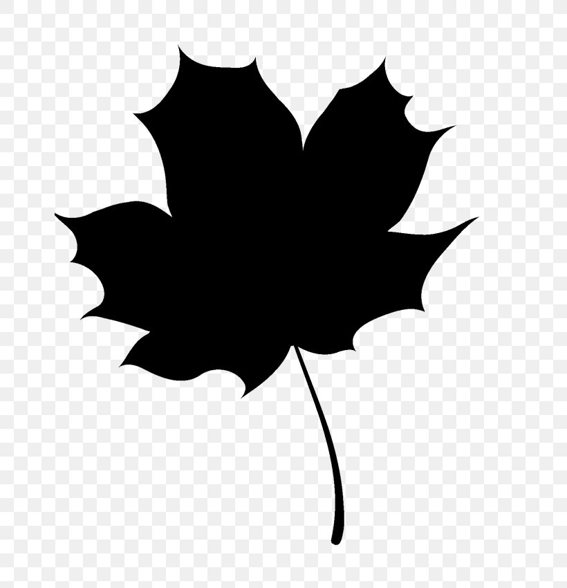 Clip Art Maple Leaf, PNG, 662x850px, Maple Leaf, Black, Black Maple, Blackandwhite, Drawing Download Free
