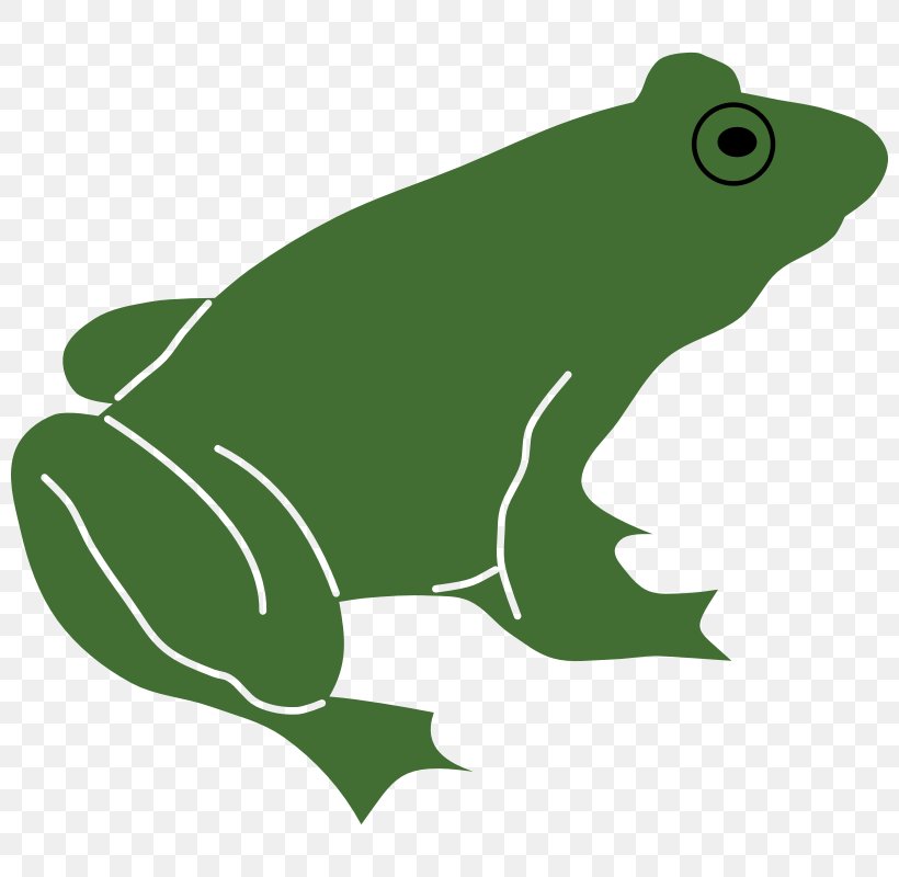 Frog Silhouette Royalty-free Clip Art, PNG, 800x800px, Frog, Amphibian, Drawing, Fauna, Free Content Download Free