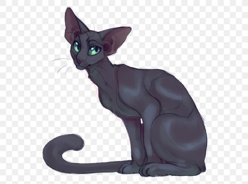 Korat Havana Brown Domestic Short-haired Cat Whiskers Devon Rex, PNG, 600x609px, Korat, Animal, Asian, Black Cat, Carnivoran Download Free