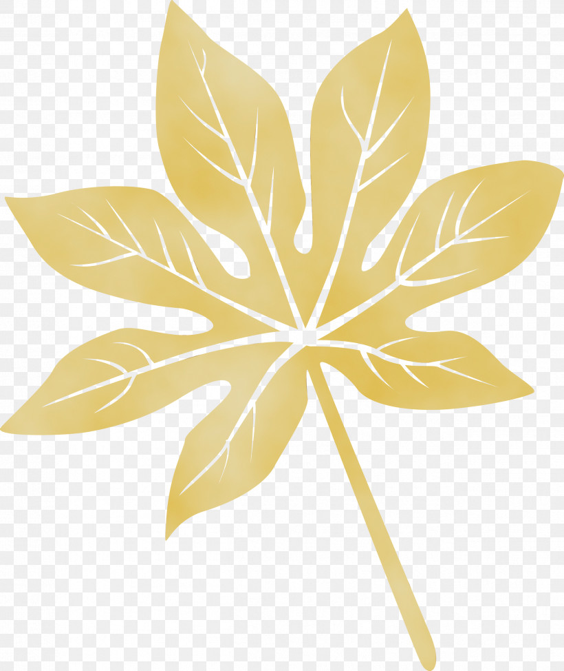 Leaf Symmetry Petal Flower Plant, PNG, 2524x3000px, Leaf, Biology, Flower, Geometry, Mathematics Download Free