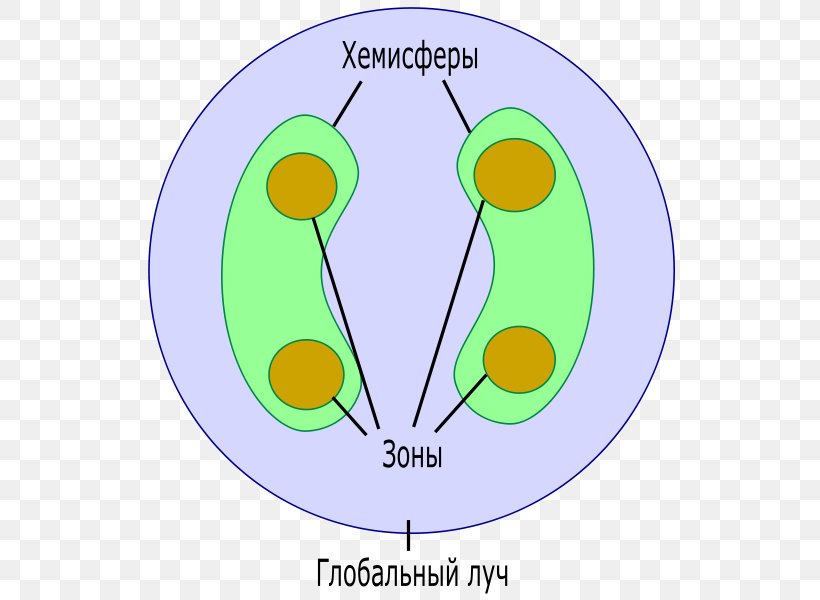 Circle Angle Organism Clip Art, PNG, 600x600px, Organism, Area, Diagram, Green, Text Download Free