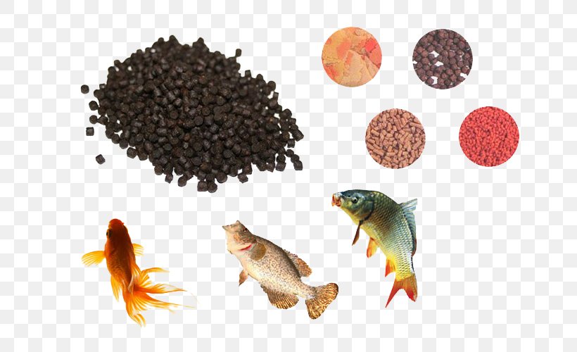 Commercial Fish Feed Aquarium Fish Feed Feed Manufacturing Pelletizing, PNG, 800x500px, Commercial Fish Feed, Animal Feed, Aquaculture, Aquarium Fish Feed, Extrusion Download Free