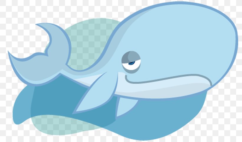 Dolphin Fundo Do Mar Mundo Bita Image, PNG, 800x480px, Dolphin, Azure, Blue, Cartoon, Drawing Download Free