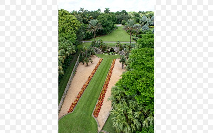 Fairchild Tropical Botanic Garden Botanical Garden Landscaping New Work, PNG, 1600x1000px, Fairchild Tropical Botanic Garden, Aula Uva, Botanical Garden, Botany, Coral Gables Download Free