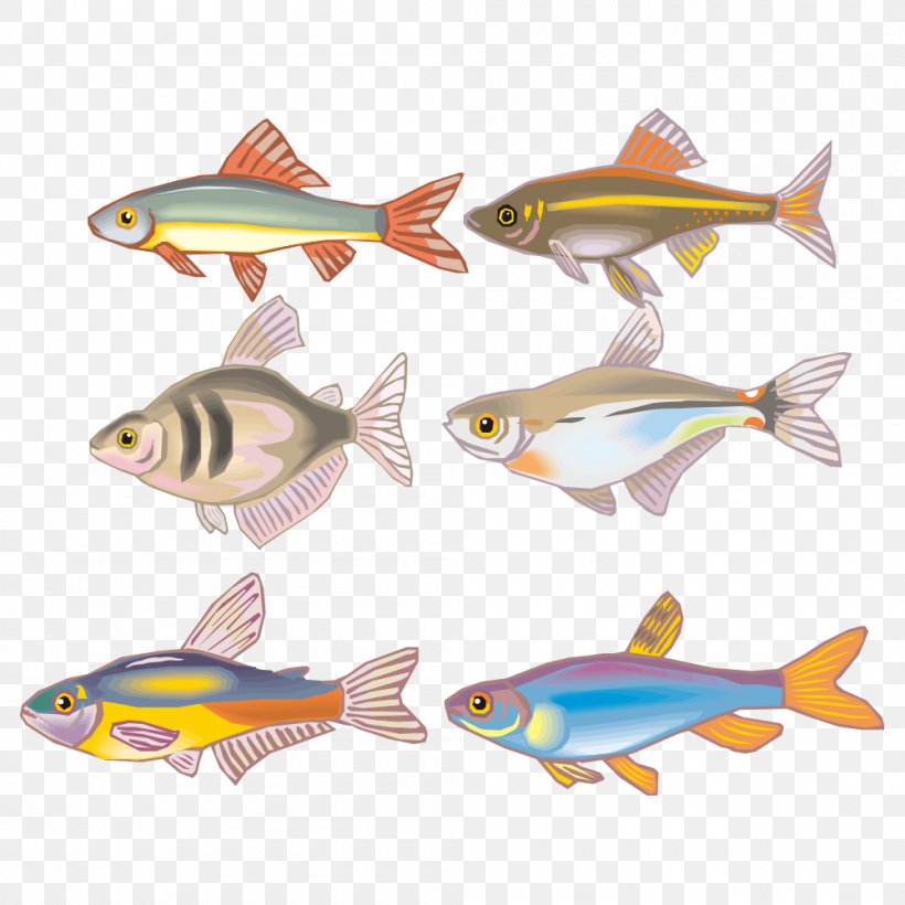 Fish Cartoon Clip Art, PNG, 1000x1000px, Fish, Biology, Cartoon, Designer, Fauna Download Free
