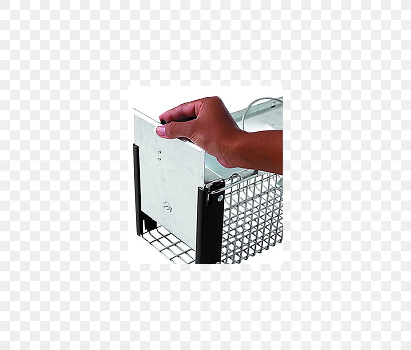 Squirrel Rat Trap Trapping Rodent, PNG, 698x698px, Squirrel, Bait, Cage, Chipmunk, Door Download Free