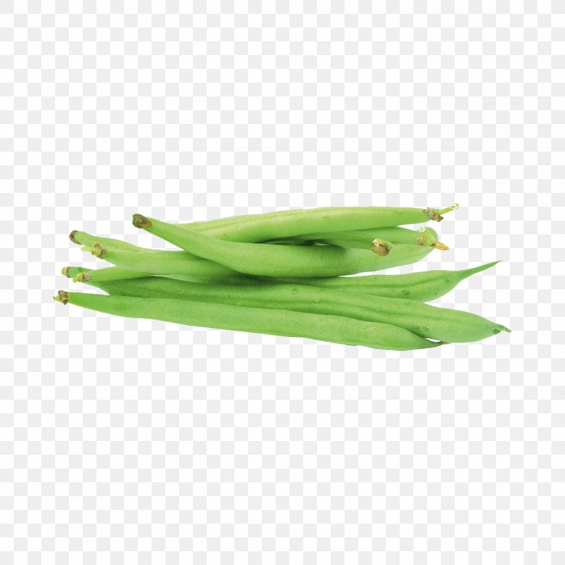 Green Bean Plant Stem Commodity Scallion Plants, PNG, 2800x2800px, Green Bean, Allium, Chives, Commodity, Flowering Plant Download Free