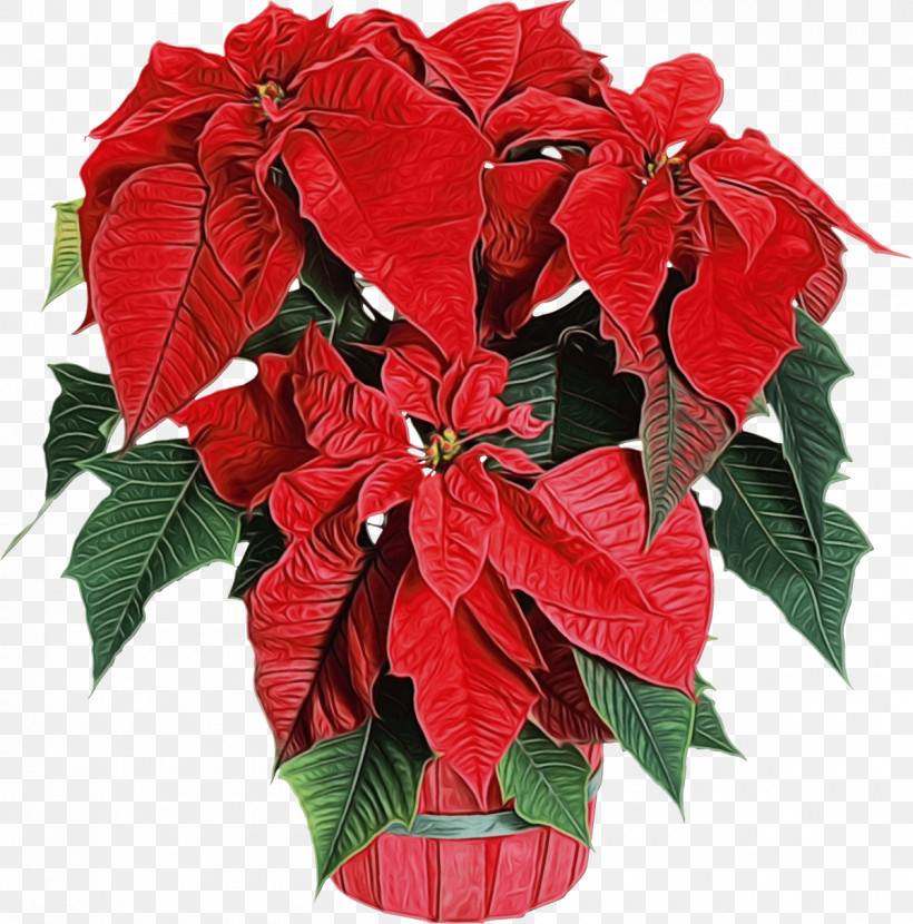 Christmas Day, PNG, 1200x1216px, Watercolor, Bonsai, Christmas Day, Cut Flowers, Festival Download Free