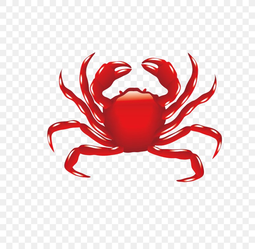 Crab,Crabs, PNG, 800x800px, Crab, Cartoon, Crayfish, Decapoda, Dungeness Crab Download Free