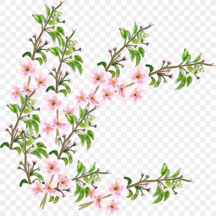 Flower Cherry Blossom, PNG, 2419x2417px, Flower, Artworks, Blossom, Branch, Cherry Blossom Download Free