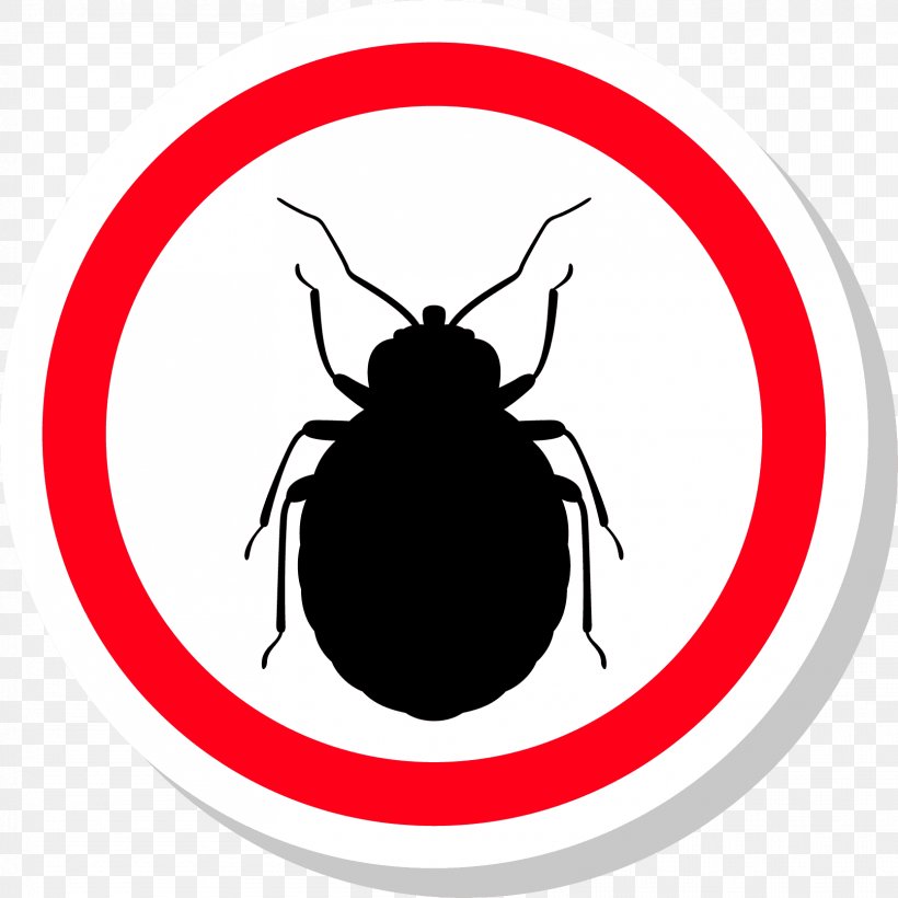 Insect Bed Bug Pest Animal, PNG, 1667x1667px, Insect, Animal, Area, Arthropod, Artwork Download Free