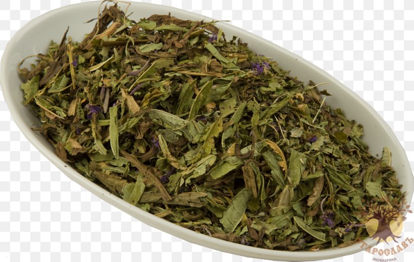Nilgiri Tea Flowering Tea Sencha Ugunspuķes Tēja, PNG, 1024x650px, Tea, Bai Mudan, Bancha, Biluochun, Chamaenerion Angustifolium Download Free