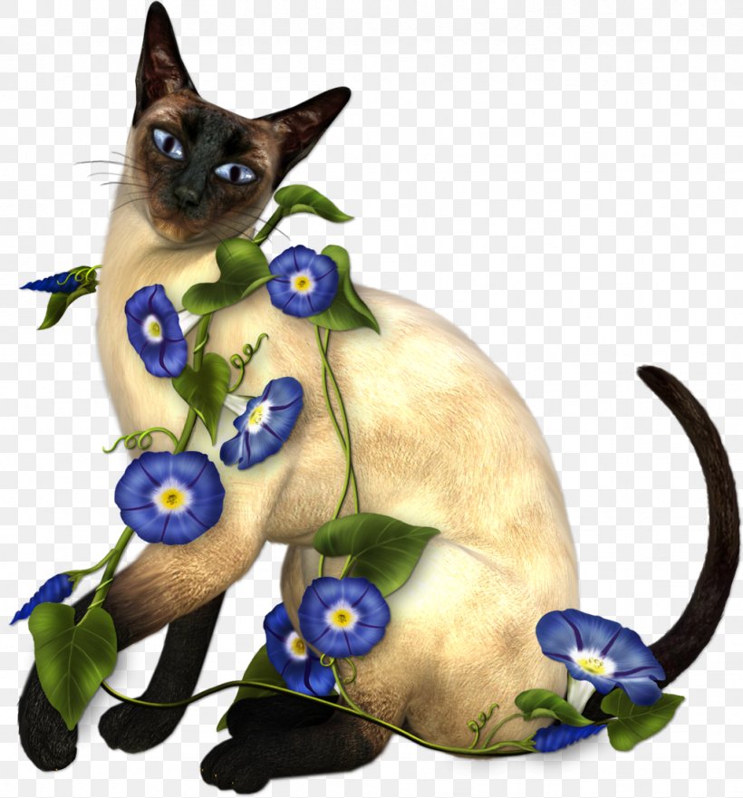 Siamese Cat Kitten Thai Cat, PNG, 1022x1099px, Siamese Cat, Animal, Avatar, Black Cat, Carnivoran Download Free