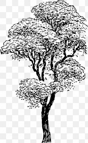 tall tree clipart black and white flower