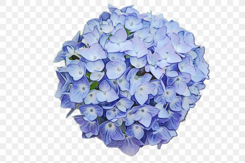 Watercolor Flower Wreath, PNG, 1280x853px, Blue, Climbing Hydrangea, Color, Cornales, Cut Flowers Download Free