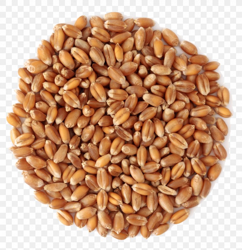 Wheat Middlings Grain Cereal, PNG, 1019x1052px, Common ...