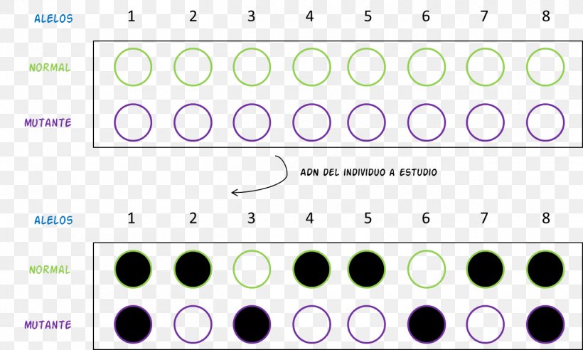 Dot Blot Northern Blot Southern Blot Hybridization Probe, PNG, 1310x786px, Dot Blot, Area, Biology, Biomolecule, Blot Download Free