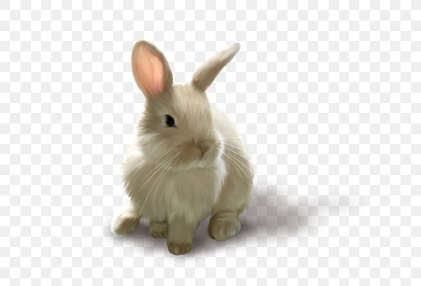 Rabbit Easter Clip Art, PNG, 600x556px, Rabbit, Animal, Animation, Domestic Rabbit, Dwarf Rabbit Download Free