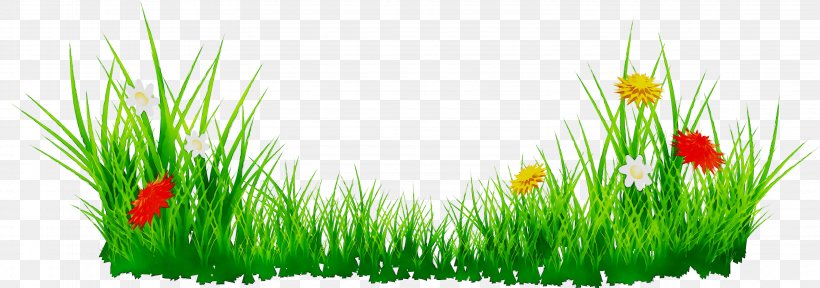 Vector Graphics Clip Art Image Free Content, PNG, 3188x1120px, Royaltyfree, Fodder, Grass, Grass Family, Grassland Download Free