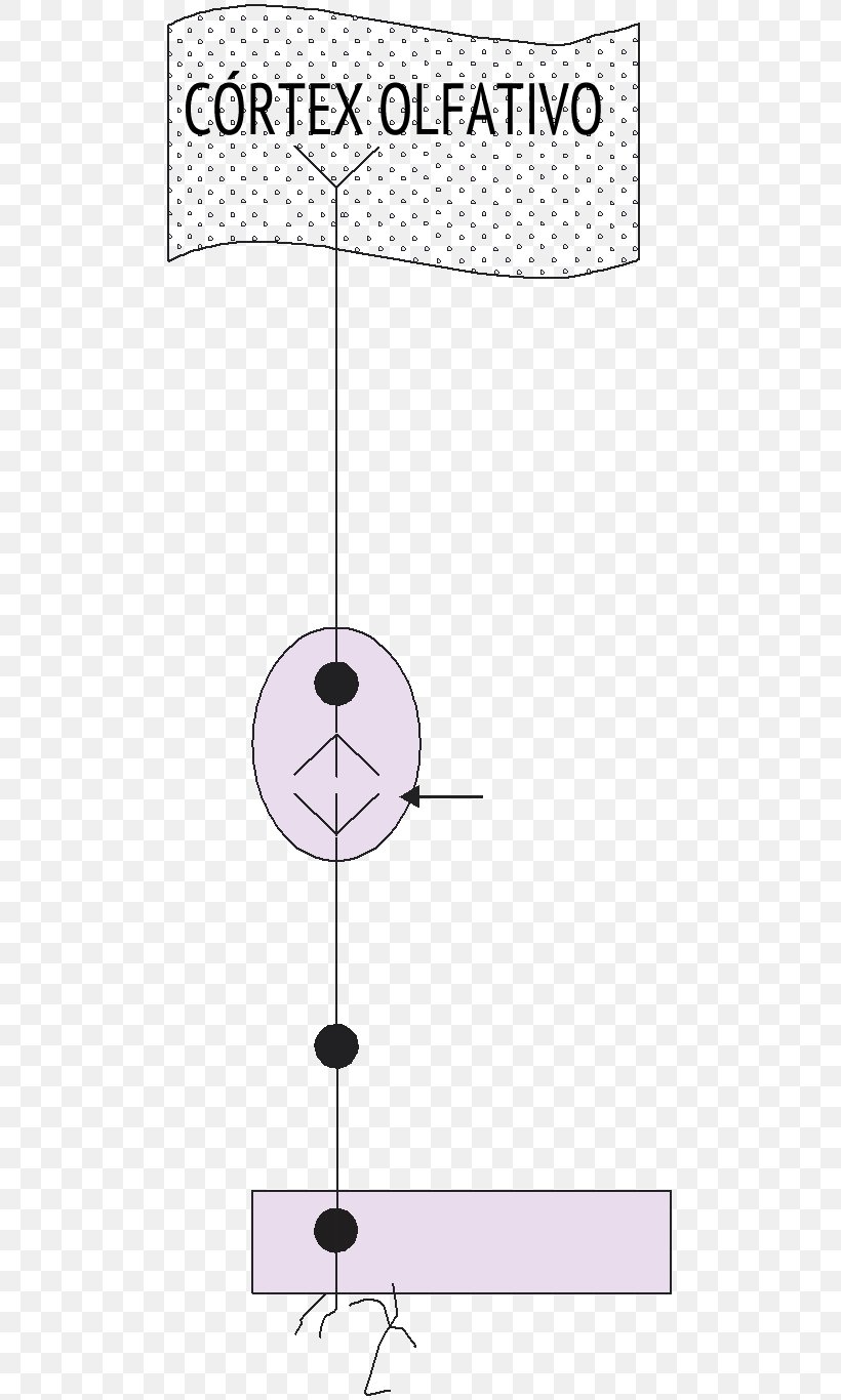 Line Point Angle, PNG, 502x1366px, Point, Area, Cartoon, Diagram, Purple Download Free