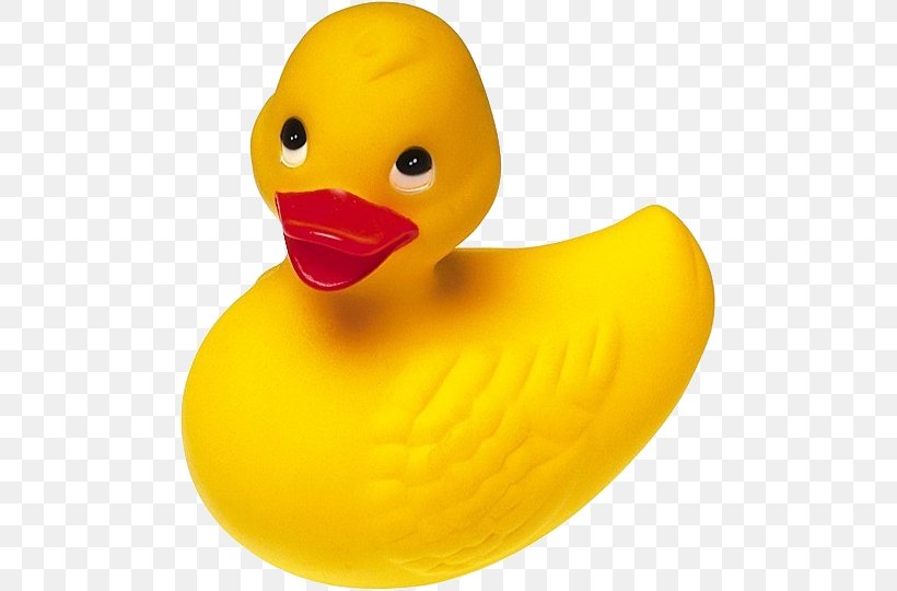 Rubber Duck Yellow Clip Art, PNG, 491x540px, Rubber Duck, Bathtub, Beak, Bird, Color Download Free