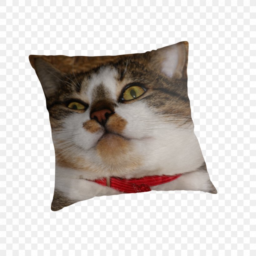 Whiskers Kitten Throw Pillows Cushion, PNG, 875x875px, Whiskers, Cat, Cat Like Mammal, Cushion, Kitten Download Free
